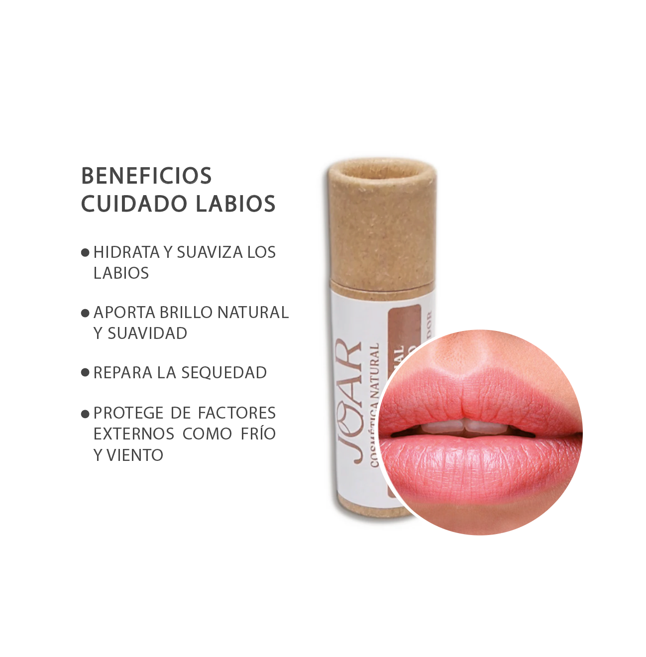 Balsamo labial jojoba & cacao