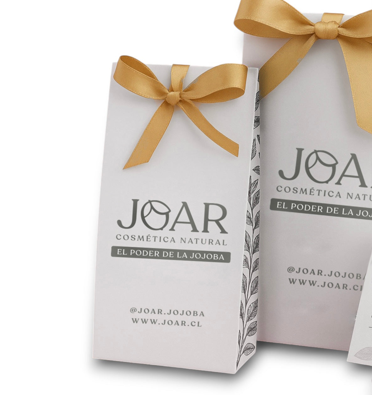 Super Pack (gratis bolsa para regalo)