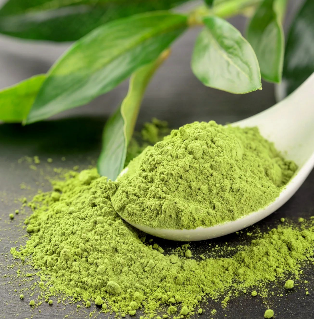 MATCHA & JOJOBA